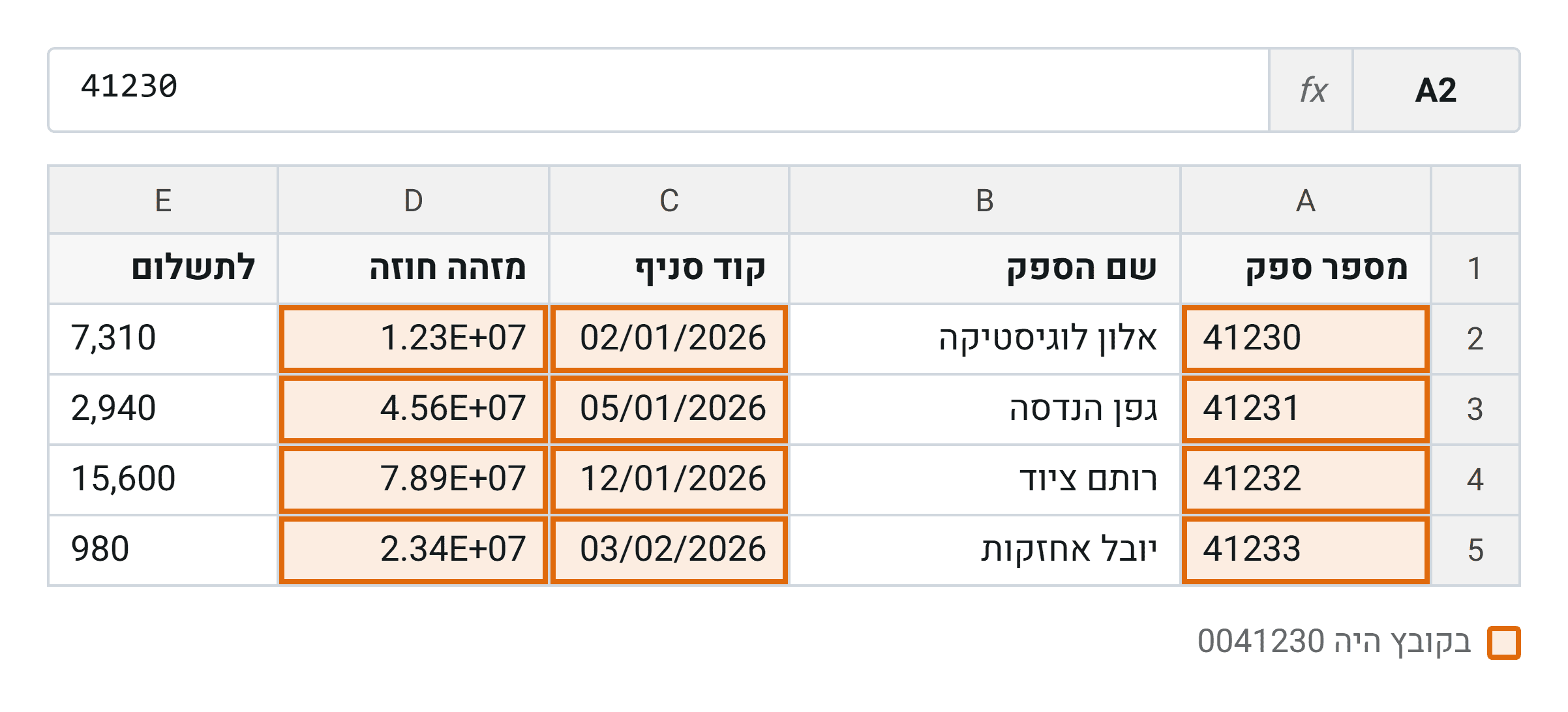 כך נראה קובץ הספקים אחרי פתיחה בלחיצה כפולה. שלוש עמודות שונות משלוש סיבות שונות, ואף אחת מהן אינה מייצרת שגיאה