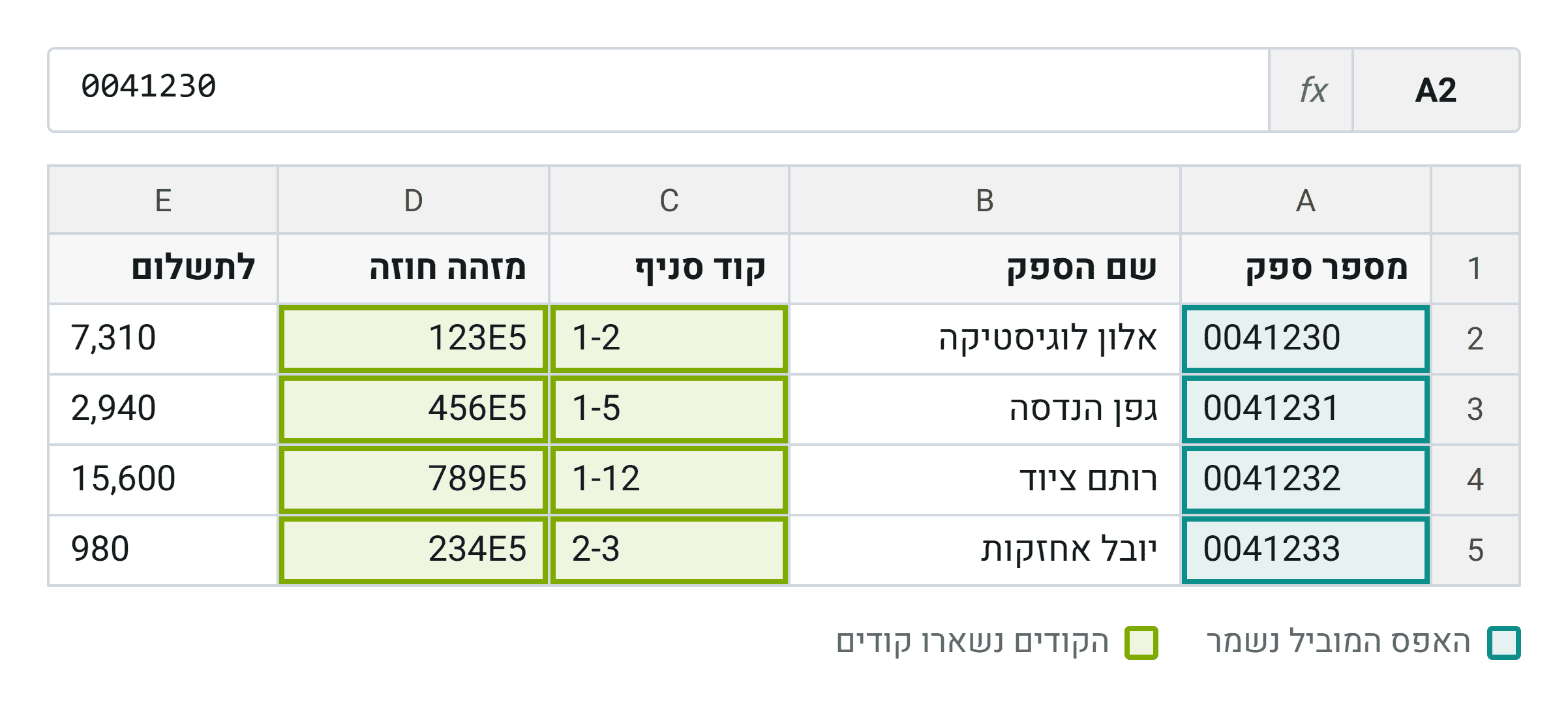 אותו קובץ בדיוק, אחרי שהעמודות סומנו כטקסט לפני הטעינה. הערכים זהים למה שהיה במערכת שהוציאה אותם
